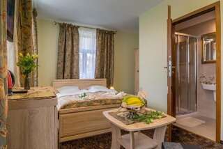 Отели типа «постель и завтрак» Willa Hanka Шклярска-Поремба Двухместный номер с 1 кроватью и собственной ванной комнатой-2