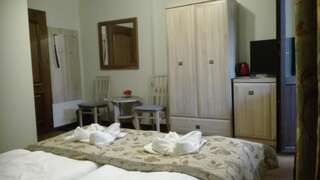 Отели типа «постель и завтрак» Willa Hanka Шклярска-Поремба Двухместный номер с 1 кроватью и собственной ванной комнатой-12