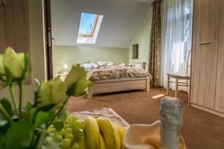 Отели типа «постель и завтрак» Willa Hanka Шклярска-Поремба Двухместный номер с 1 кроватью и собственной ванной комнатой-15